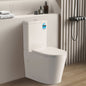 Livis KDK022 Rimless Toilet Suite