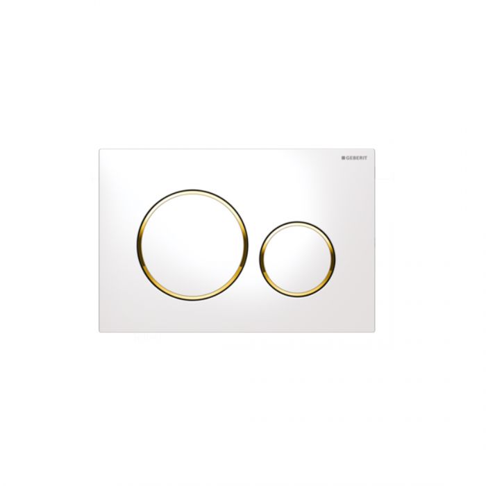 ABS Inwall Cistern Push Button White Plate With Gold Trim