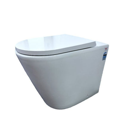 Hali Rimless Wall Faced Floor Pan