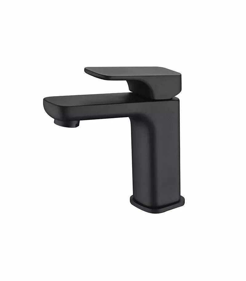 Eden Basin Mixer